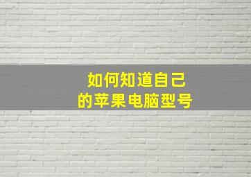 如何知道自己的苹果电脑型号