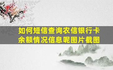 如何短信查询农信银行卡余额情况信息呢图片截图