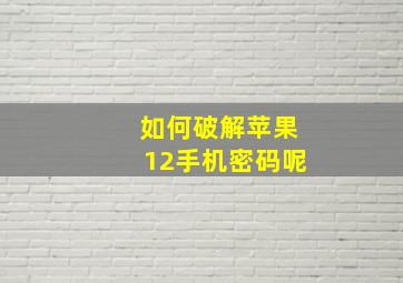 如何破解苹果12手机密码呢