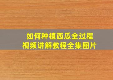 如何种植西瓜全过程视频讲解教程全集图片