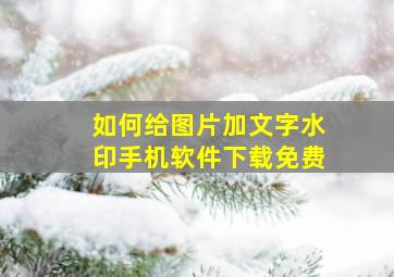 如何给图片加文字水印手机软件下载免费