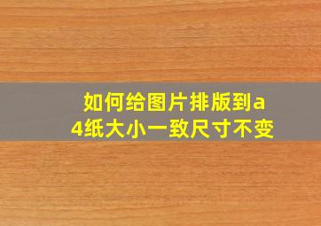 如何给图片排版到a4纸大小一致尺寸不变