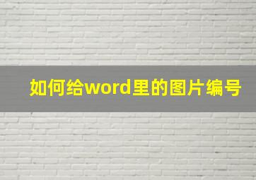 如何给word里的图片编号