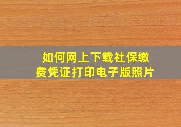 如何网上下载社保缴费凭证打印电子版照片