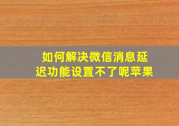 如何解决微信消息延迟功能设置不了呢苹果