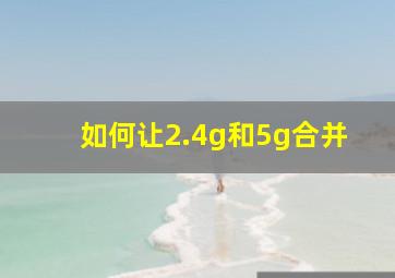 如何让2.4g和5g合并