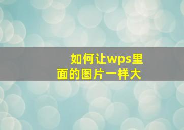 如何让wps里面的图片一样大