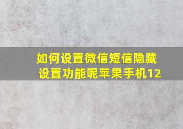 如何设置微信短信隐藏设置功能呢苹果手机12