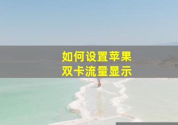 如何设置苹果双卡流量显示