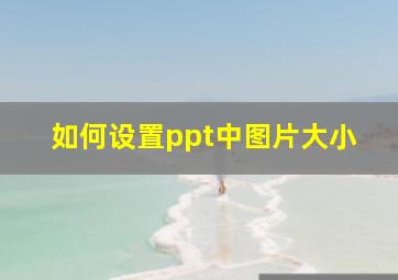 如何设置ppt中图片大小