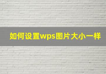 如何设置wps图片大小一样