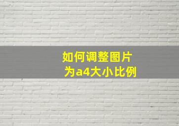 如何调整图片为a4大小比例