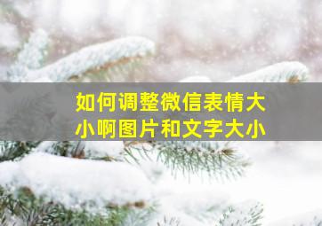 如何调整微信表情大小啊图片和文字大小