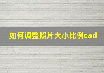 如何调整照片大小比例cad