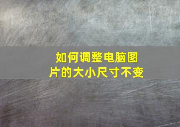 如何调整电脑图片的大小尺寸不变