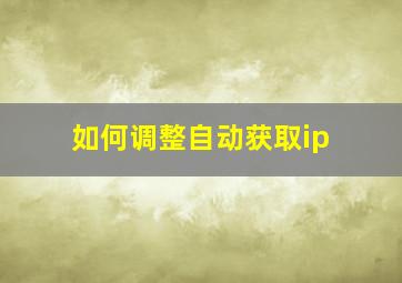 如何调整自动获取ip