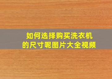 如何选择购买洗衣机的尺寸呢图片大全视频