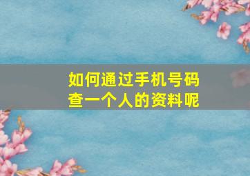 如何通过手机号码查一个人的资料呢