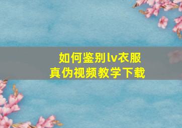 如何鉴别lv衣服真伪视频教学下载