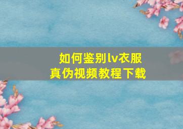 如何鉴别lv衣服真伪视频教程下载