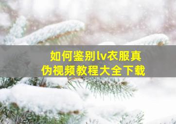 如何鉴别lv衣服真伪视频教程大全下载