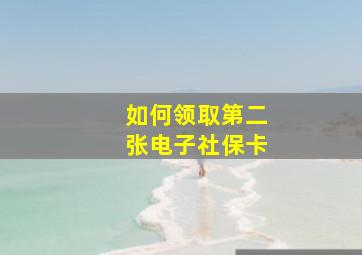 如何领取第二张电子社保卡