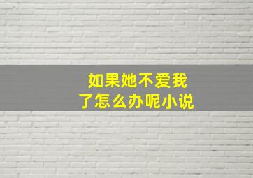 如果她不爱我了怎么办呢小说