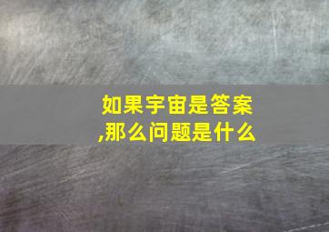 如果宇宙是答案,那么问题是什么