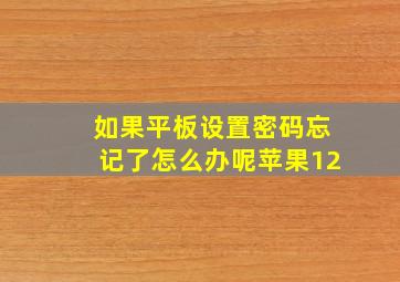 如果平板设置密码忘记了怎么办呢苹果12