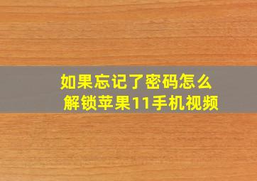 如果忘记了密码怎么解锁苹果11手机视频