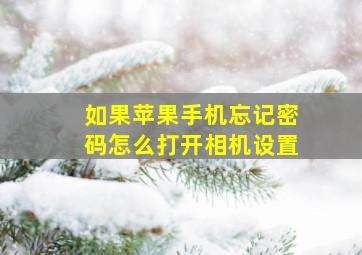 如果苹果手机忘记密码怎么打开相机设置