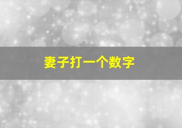 妻子打一个数字