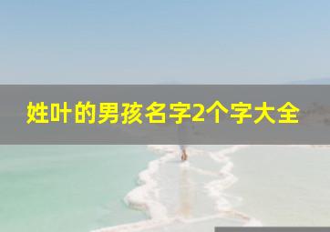 姓叶的男孩名字2个字大全