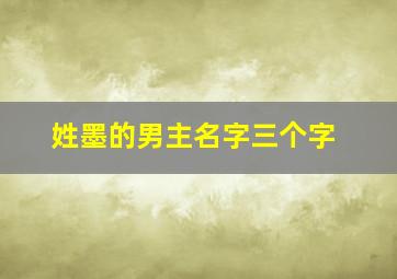 姓墨的男主名字三个字