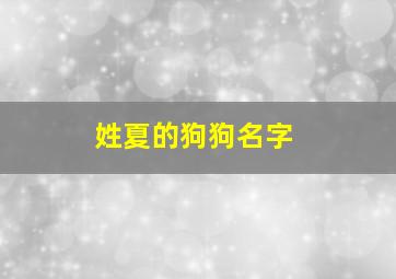 姓夏的狗狗名字