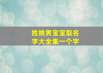 姓姚男宝宝取名字大全集一个字