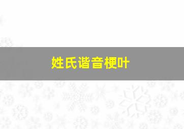 姓氏谐音梗叶