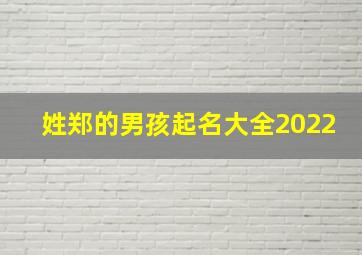 姓郑的男孩起名大全2022