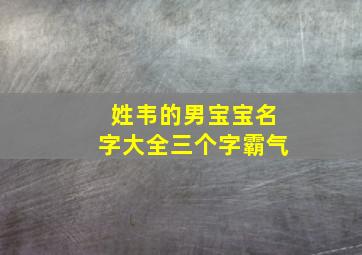 姓韦的男宝宝名字大全三个字霸气