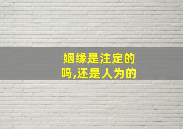 姻缘是注定的吗,还是人为的