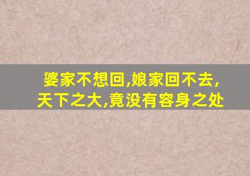 婆家不想回,娘家回不去,天下之大,竟没有容身之处