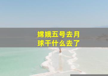 嫦娥五号去月球干什么去了