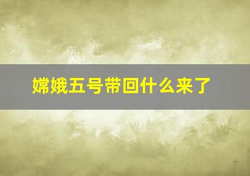 嫦娥五号带回什么来了