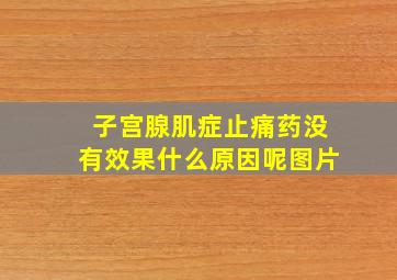 子宫腺肌症止痛药没有效果什么原因呢图片