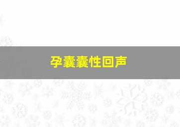 孕囊囊性回声