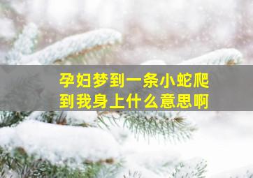 孕妇梦到一条小蛇爬到我身上什么意思啊