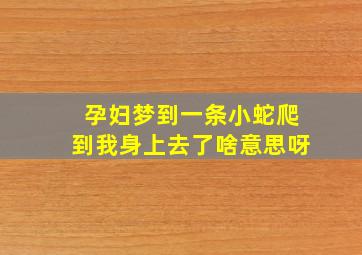 孕妇梦到一条小蛇爬到我身上去了啥意思呀