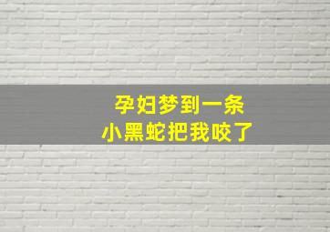 孕妇梦到一条小黑蛇把我咬了