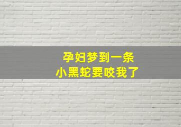 孕妇梦到一条小黑蛇要咬我了