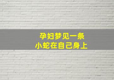 孕妇梦见一条小蛇在自己身上